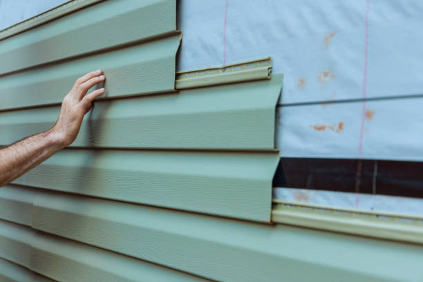 Best Brick Veneer Siding  in Fruitland, IA